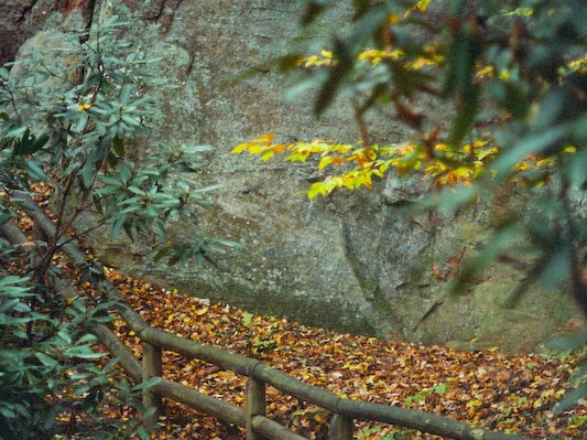 Red River Gorge in Fall